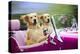 Golden Retriever Dog, Two Valentine Dog Couple in Car-null-Premier Image Canvas