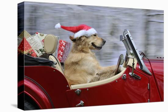 Golden Retriever Dog Wearing Father Christmas-null-Premier Image Canvas