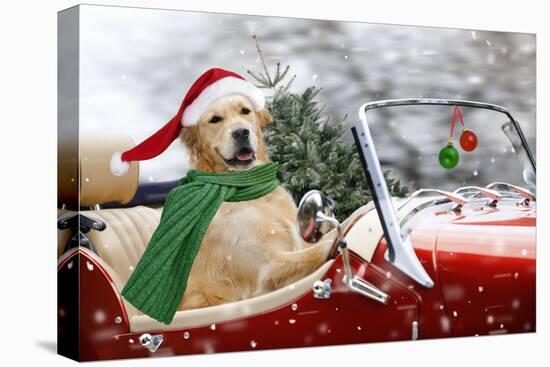 Golden Retriever Driving Car Collecting Christmas Tree-null-Premier Image Canvas