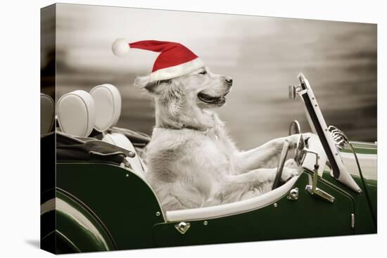 Golden Retriever in Car Wearing Christmas Hat-null-Premier Image Canvas