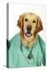 Golden Retriever in Vets Scrubs and Stethoscope-null-Premier Image Canvas