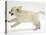 Golden Retriever Puppy, 9 Weeks Old, Running-Jane Burton-Premier Image Canvas