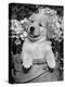 Golden Retriever Puppy in Bucket (Canis Familiaris) Illinois, USA-Lynn M. Stone-Premier Image Canvas