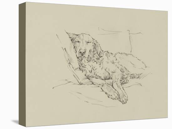 Golden Sketch II-Ethan Harper-Stretched Canvas