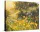 Golden Sunset-Mary Dipnall-Stretched Canvas