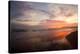 Golden Sunset-Susan Bryant-Stretched Canvas