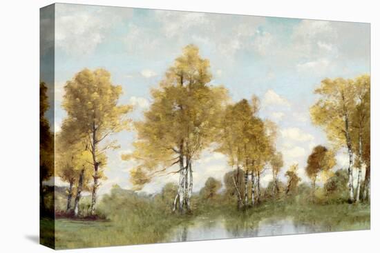 Golden Tree Pond IV-Christy McKee-Stretched Canvas