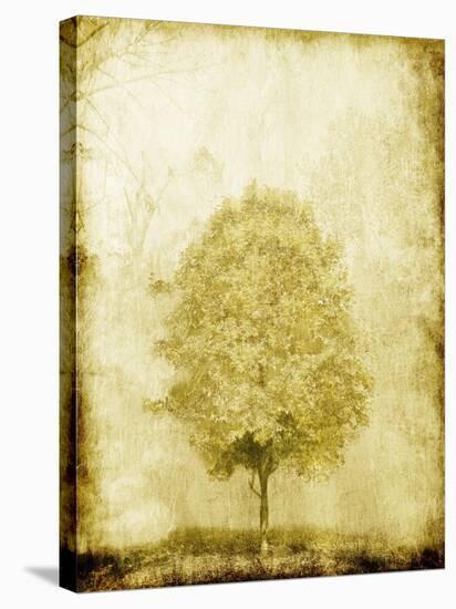 Golden Tree-OnRei-Stretched Canvas