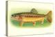 Golden Trout-null-Stretched Canvas