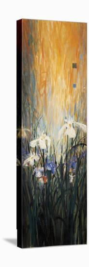 Golden Winged Garden I-Don Li-Leger-Stretched Canvas