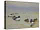 Goldeneye and Tufted Duck-Archibald Thorburn-Premier Image Canvas