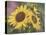 Goldfinch and Sunflowers-William Vanderdasson-Premier Image Canvas