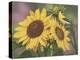 Goldfinch and Sunflowers-William Vanderdasson-Premier Image Canvas