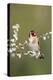 Goldfinch Spring Blossom-null-Premier Image Canvas