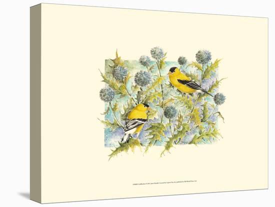 Goldfinches-Janet Mandel-Stretched Canvas