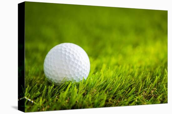 Golf Ball on Green Grass-jannoon028-Premier Image Canvas