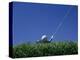 Golf Club Lined Up with Golf Ball on Tee-Mitch Diamond-Premier Image Canvas