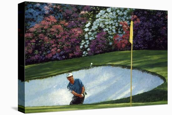 Golf Course 6-William Vanderdasson-Premier Image Canvas
