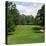 Golf Course at Pinehurst Resort, Pinehurst, Moore County, North Carolina, USA-null-Premier Image Canvas