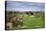 Golf Course Fairway, Scottsdale,Arizona,Usa-BCFC-Premier Image Canvas