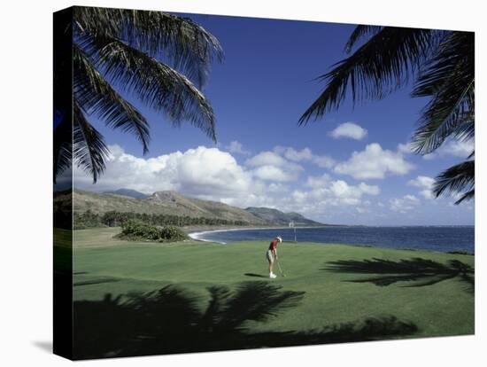 Golf Course in Paradise-null-Premier Image Canvas