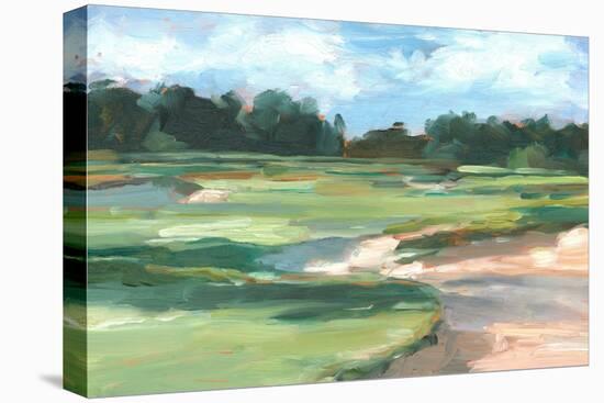 Golf Course Study II-Ethan Harper-Stretched Canvas