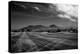 Golf CourseScottsdale Arizona b/w-null-Stretched Canvas