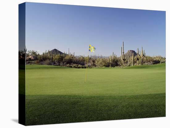 Golf Flag in a Golf Course, Troon North Golf Club, Scottsdale, Maricopa County, Arizona, USA-null-Premier Image Canvas