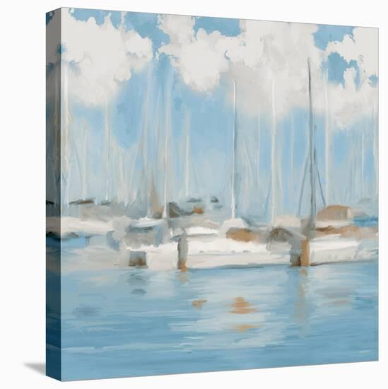 Golf Harbor Boats I-Dan Meneely-Stretched Canvas