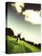 Golf-null-Premier Image Canvas