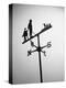 Golfer And Caddy Weather Vane-Bettmann-Premier Image Canvas