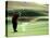 Golfer in Action-null-Premier Image Canvas