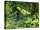 Golfers As Seen Through the Trees-null-Premier Image Canvas