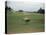 Golfers Sitting on Bench Near Practice Greens While Awaiting Tee Time on Pinehurst Golf Course-Walker Evans-Premier Image Canvas