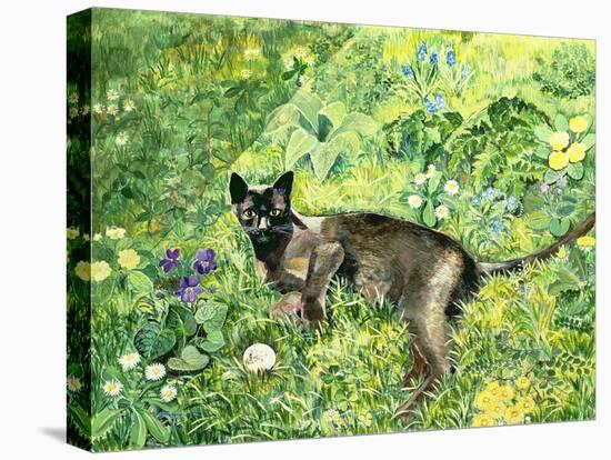 Golfing Cat-Hilary Jones-Premier Image Canvas