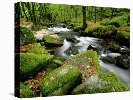 Golitha Falls, Bodmin, Cornwall, UK-Ross Hoddinott-Premier Image Canvas