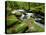 Golitha Falls, Bodmin, Cornwall, UK-Ross Hoddinott-Premier Image Canvas