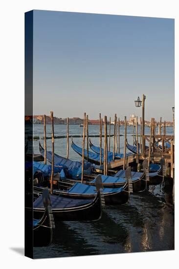 Gondolas Along the Grand Canal in Venice, Italy-David Noyes-Premier Image Canvas