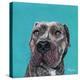 Good Boy-Melissa Symons-Stretched Canvas