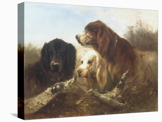 Good Friends-Henri Schouten-Premier Image Canvas