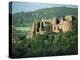 Goodrich Castle, Herefordshire, England, United Kingdom, Europe-Woolfitt Adam-Premier Image Canvas