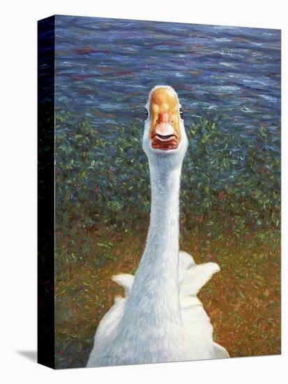 Goose-James W. Johnson-Premier Image Canvas