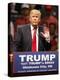 GOP 2016 Trump-Sue Ogrocki-Premier Image Canvas