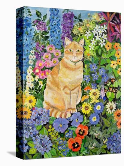Gordon's Cat, 1996-Hilary Jones-Premier Image Canvas