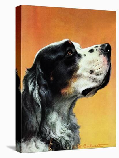 "Gordon Setter," October 17, 1942-W.W. Calvert-Premier Image Canvas