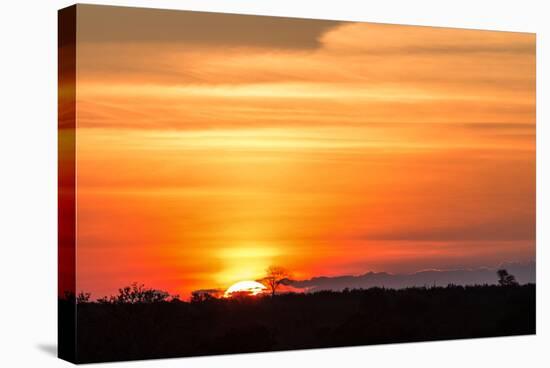 Gorgeous African Sunset in Kruger National Park-Stephen Lew-Premier Image Canvas