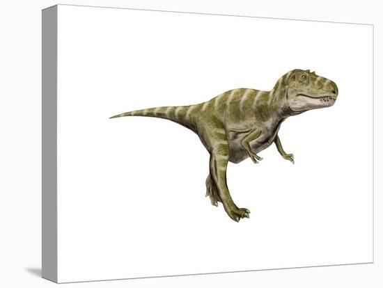 Gorgosaurus Dinosaur-null-Stretched Canvas