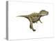 Gorgosaurus Dinosaur-null-Stretched Canvas