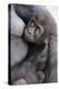 Gorilla Baby, Gorilla Mother-Ronald Wittek-Premier Image Canvas