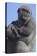 Gorilla Cradling Baby-DLILLC-Premier Image Canvas